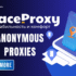 ProxyLine.net Complete Review – Professional Proxy Services