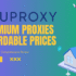 ProxyLine.net Complete Review – Professional Proxy Services